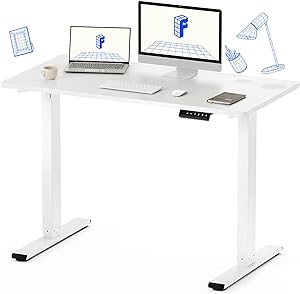 FLEXISPOT EF1