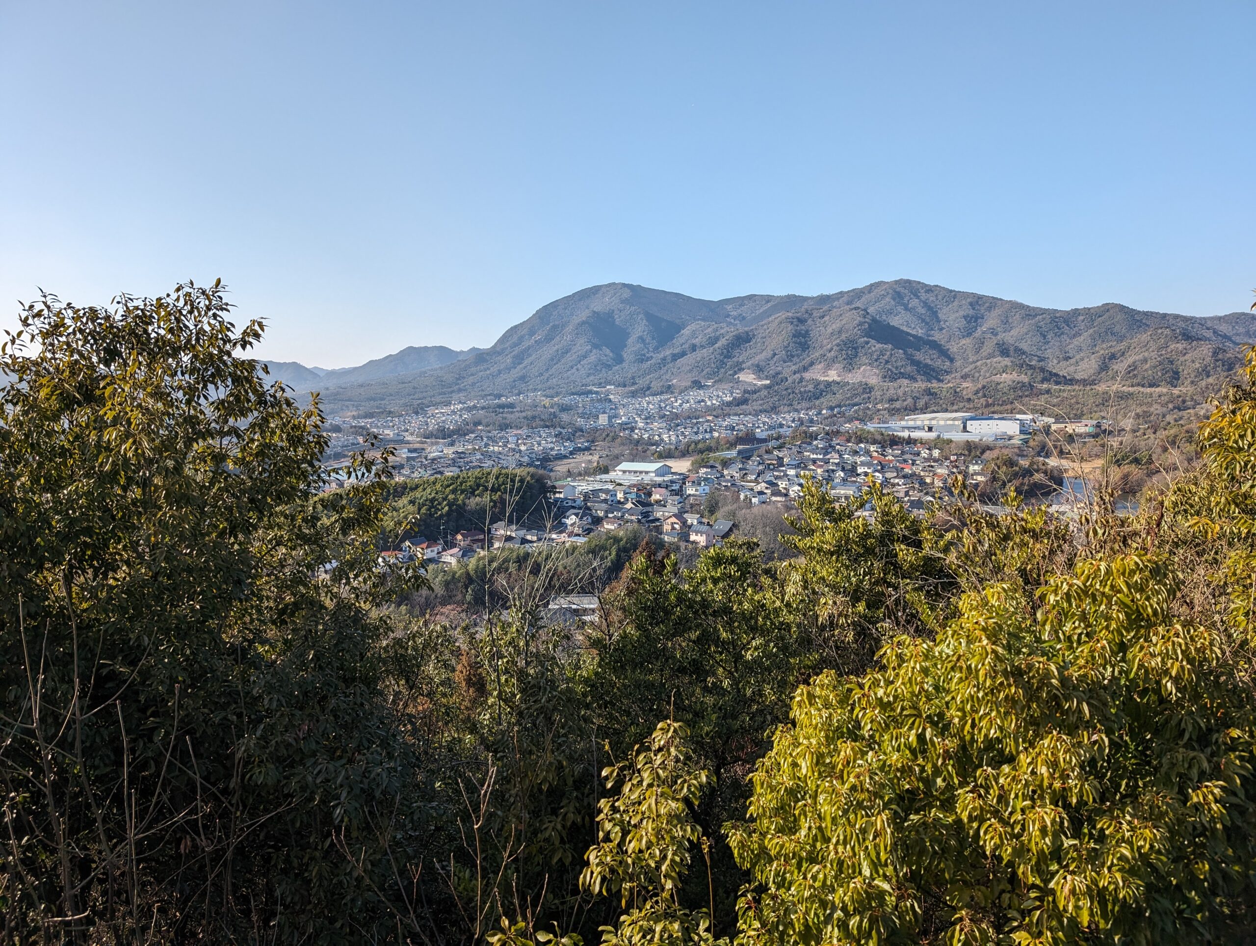 Google Pixel 8 カメラ作例