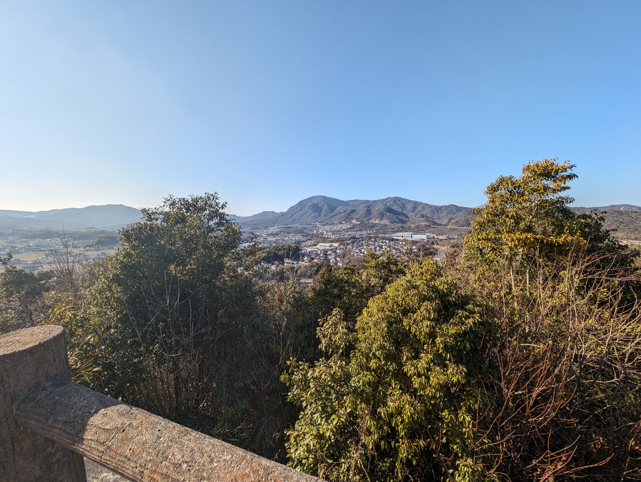 Pixel 8 Pro 0.5倍