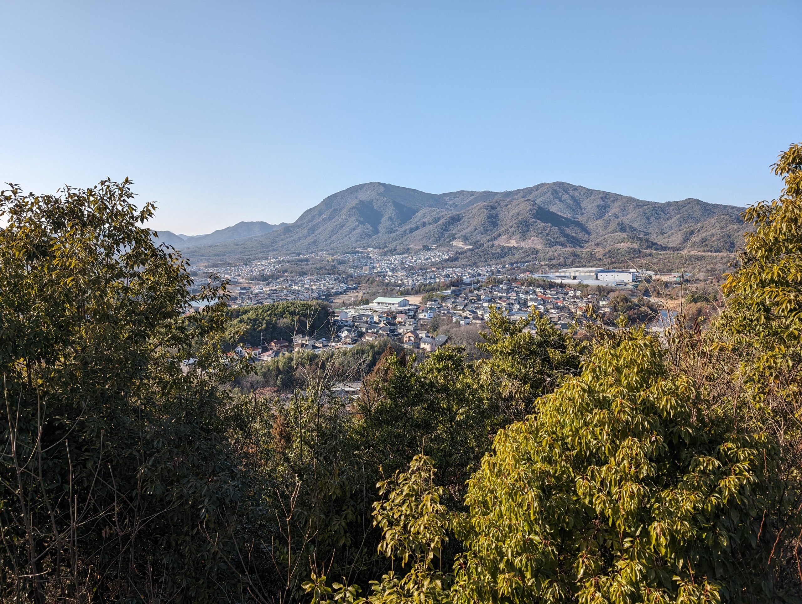 Pixel 8 Pro 1倍