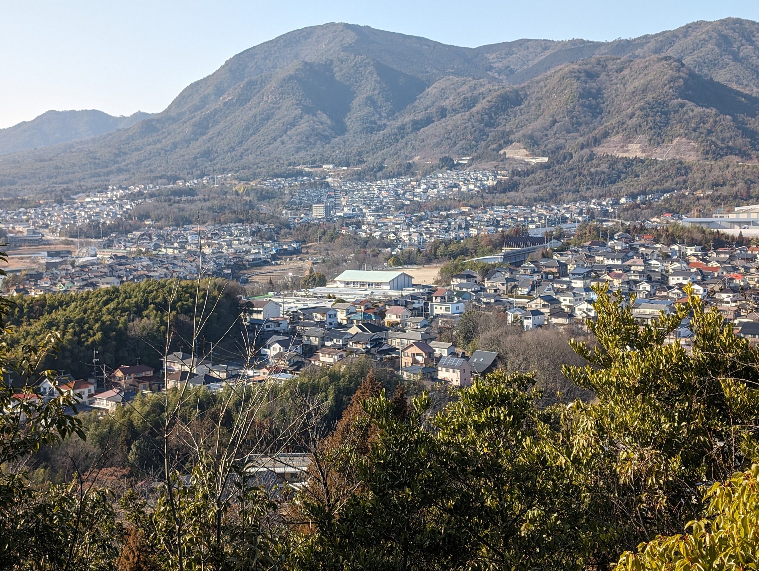 Pixel 8 Pro 2倍