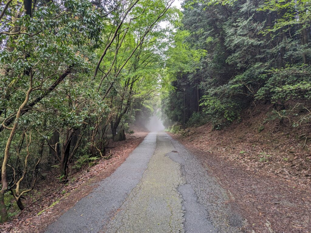 Pixel Foldの写真作例