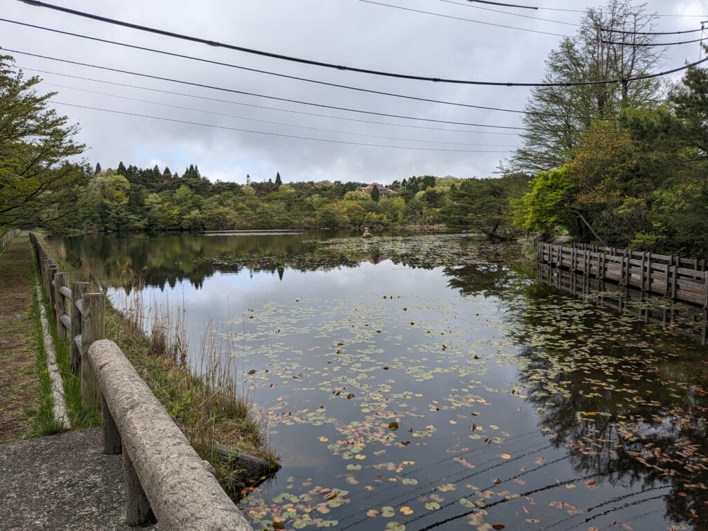 Pixel Foldの写真作例
